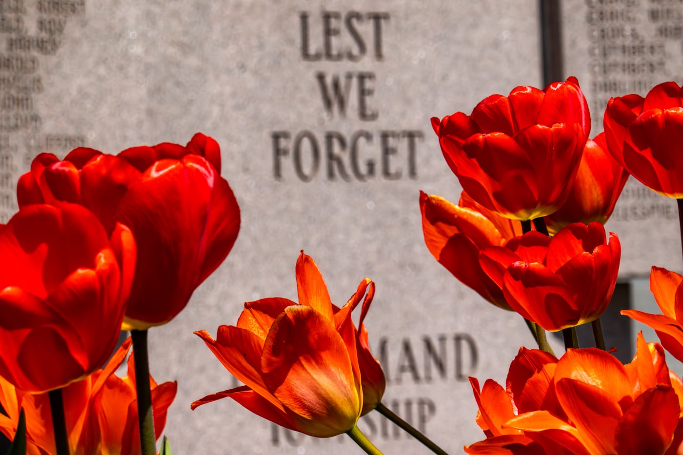 Red poppies laid at a war memorial engraved with the words Lest We Forget
