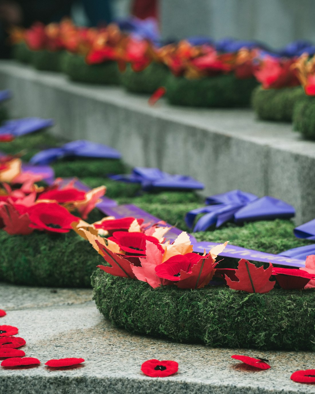 Poppies and tributes laid on the steps of a war memorial